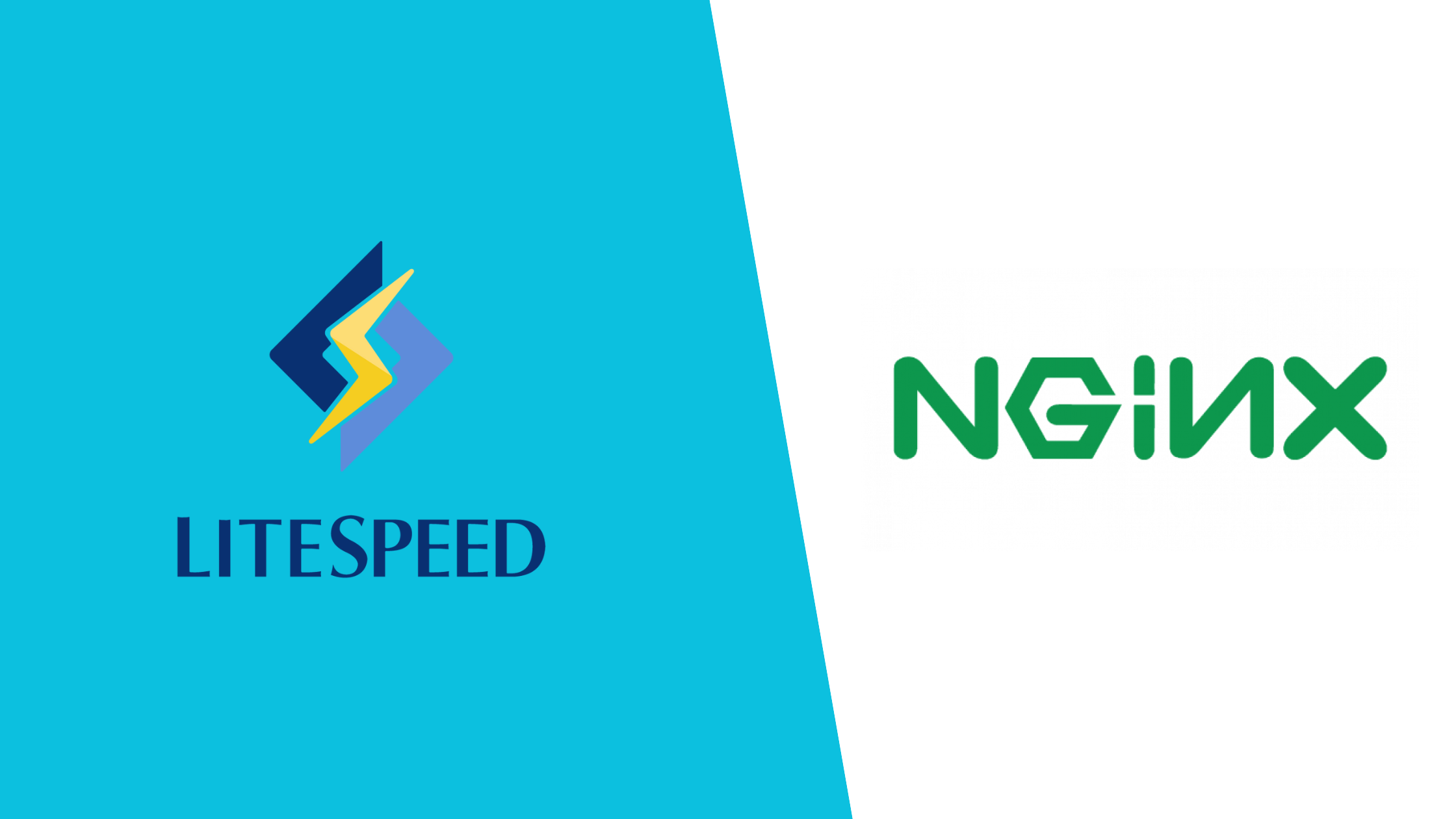 Why Actiefhost is Transitioning from NGINX to LiteSpeed Enterprise